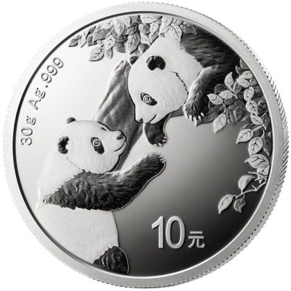 2023 Chinese Panda 30g Silver Coin