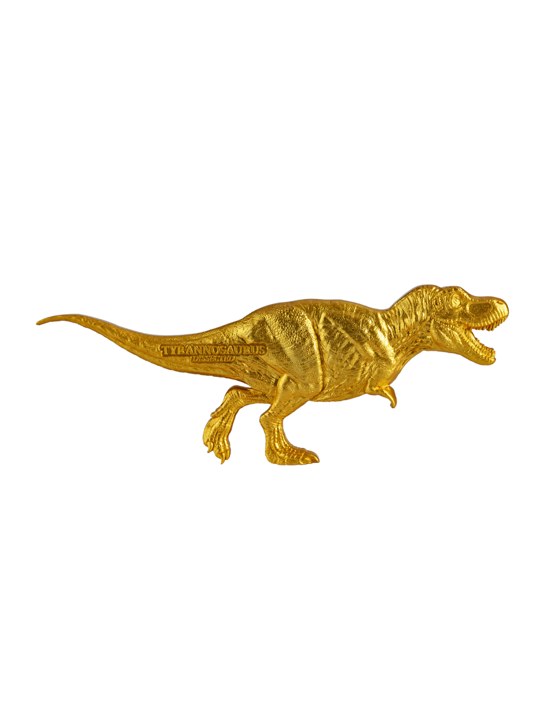 TYRANNOSAURUS DISSECTED T REX Gilded Jurassic 3 Oz Silver Coin 15000 Francs Chad 2022